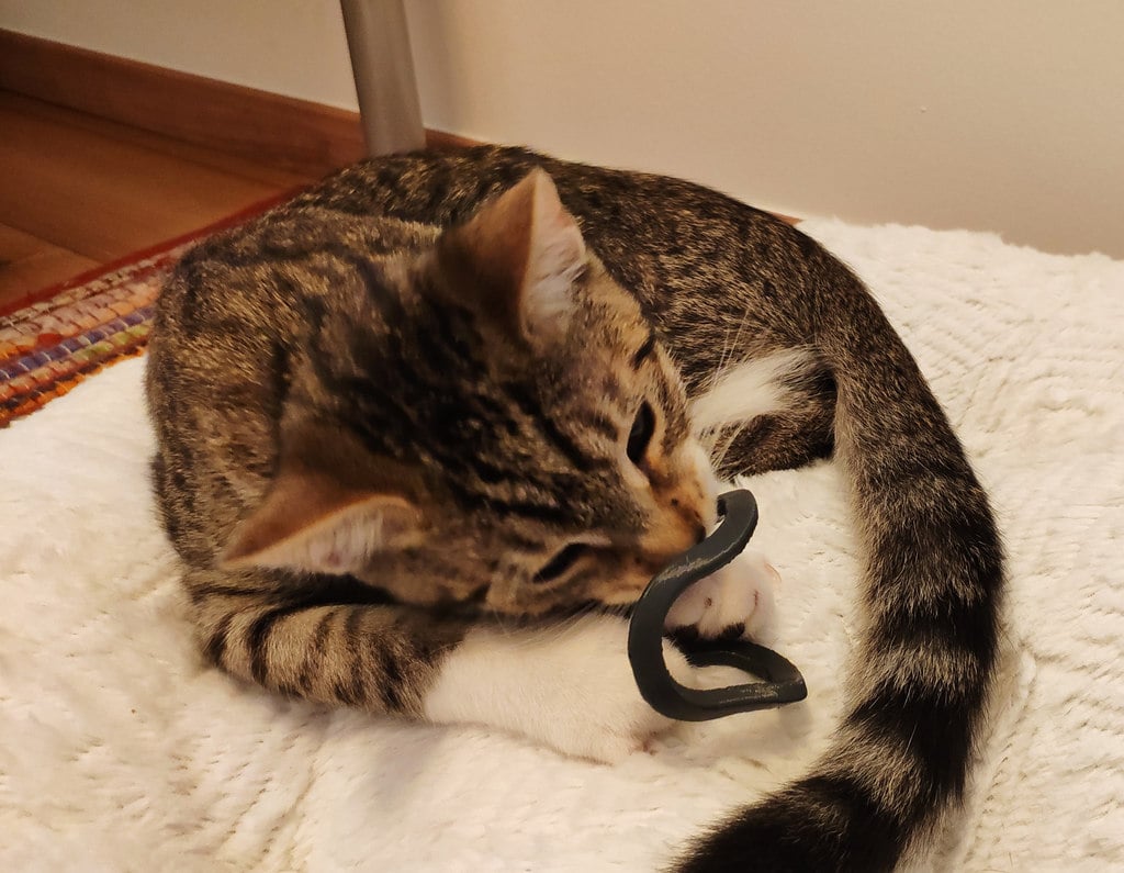 Cat Toy