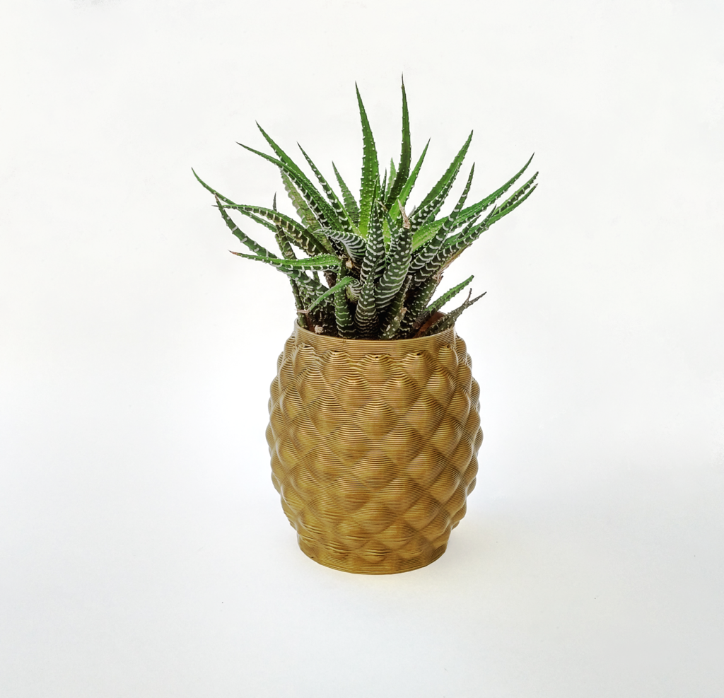 Pineapple planter