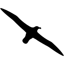 flexi bird toy - photo 2