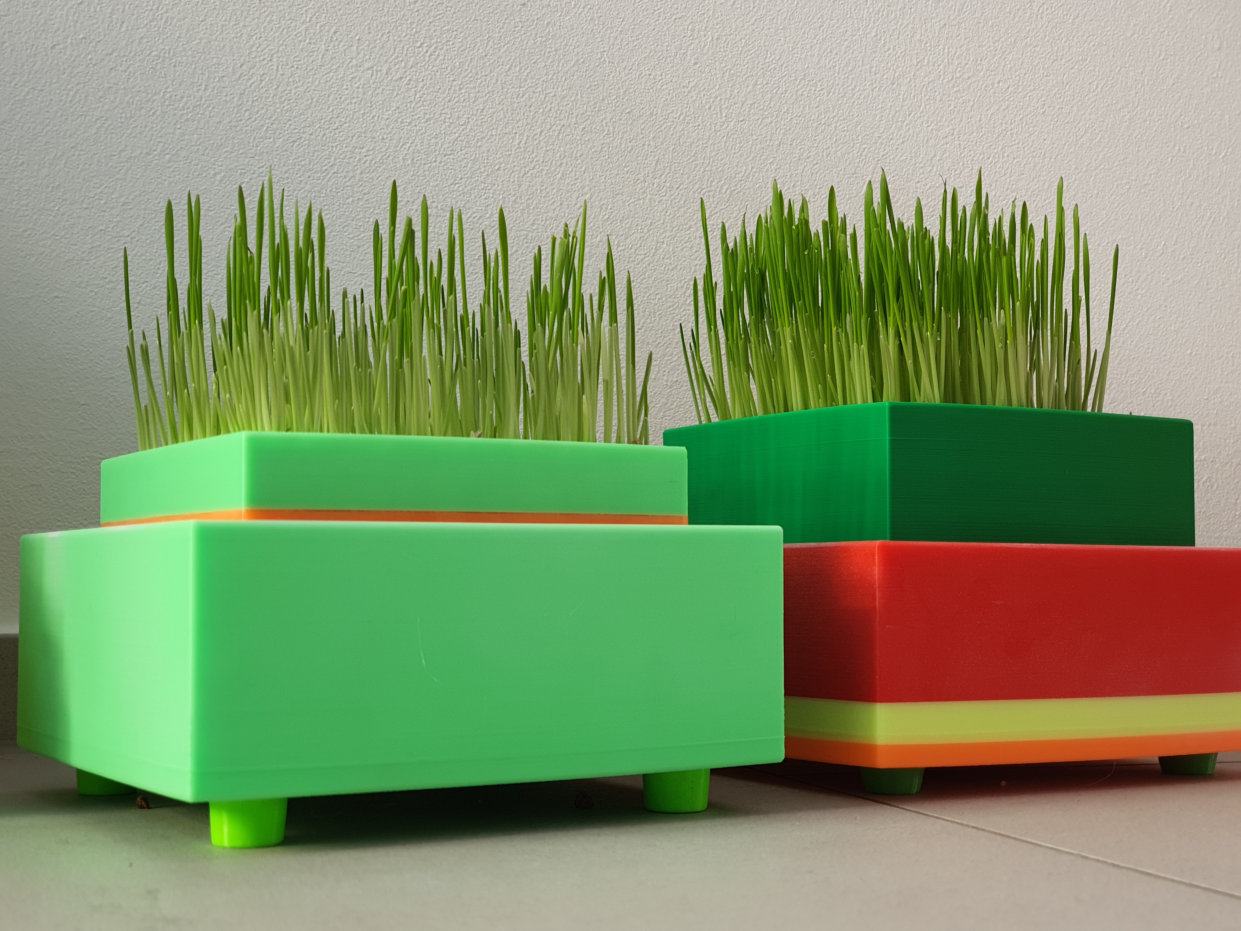 Cat Grass Planter - photo 4