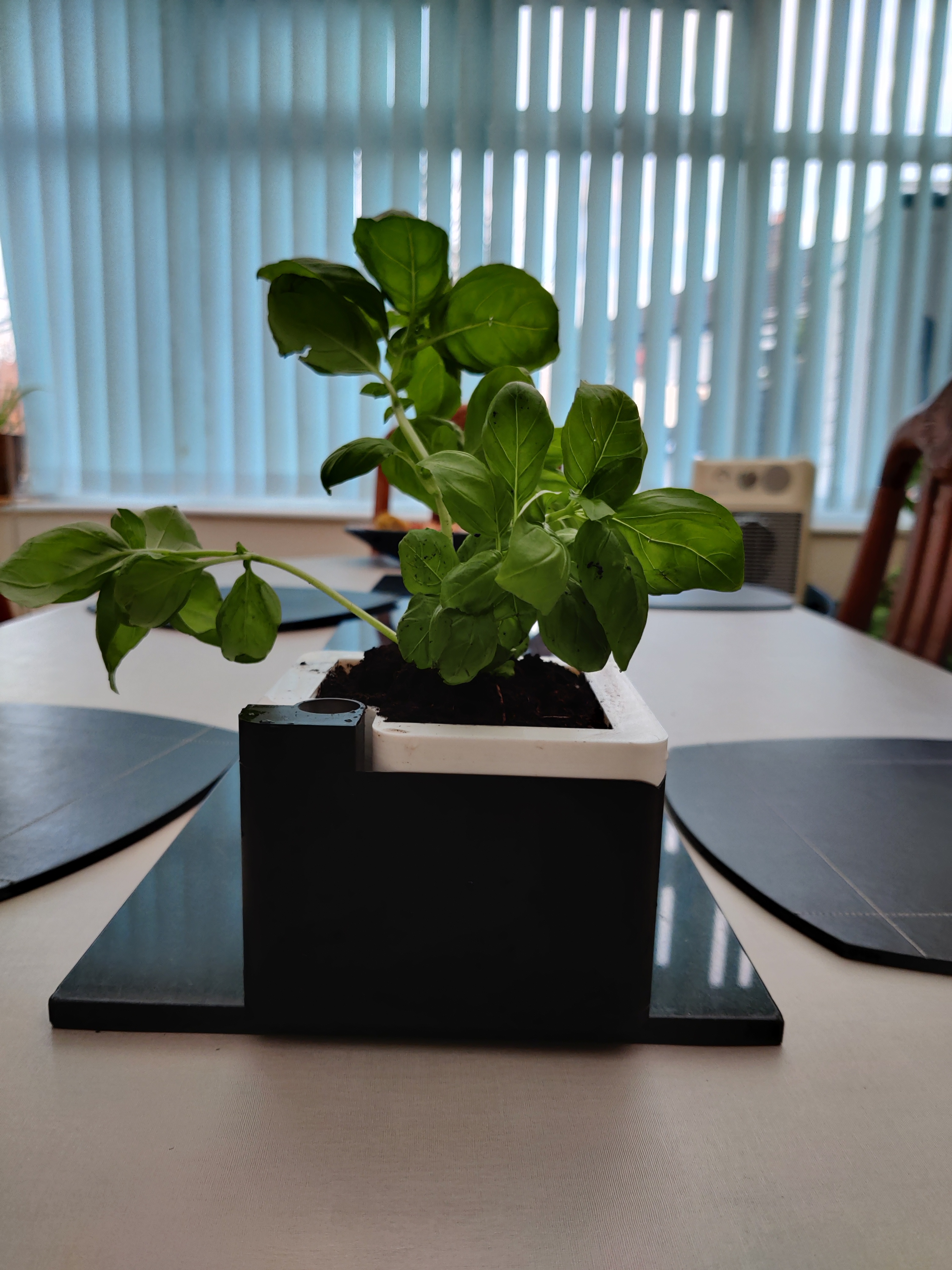 Self Watering Herb Planter