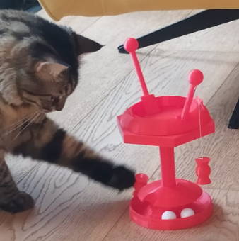 cat toy - photo 2