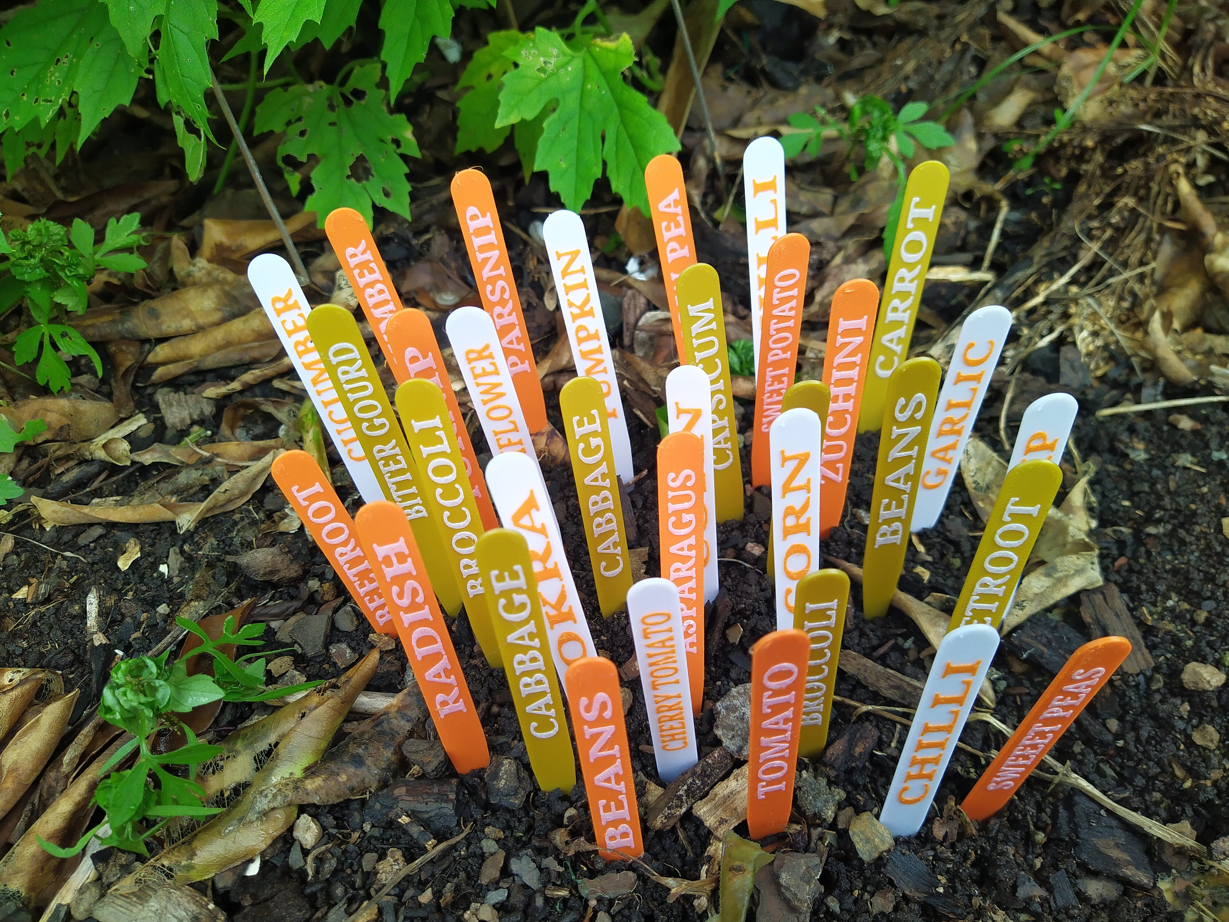 COMMON GARDEN VEGETABLES STAKE LABELS TAGS - photo 2