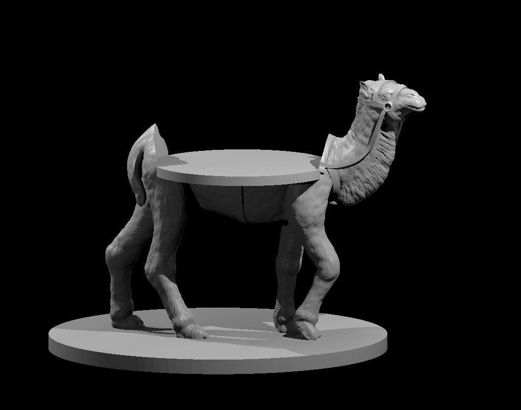 Camel Mount with and without mini slot - photo 2