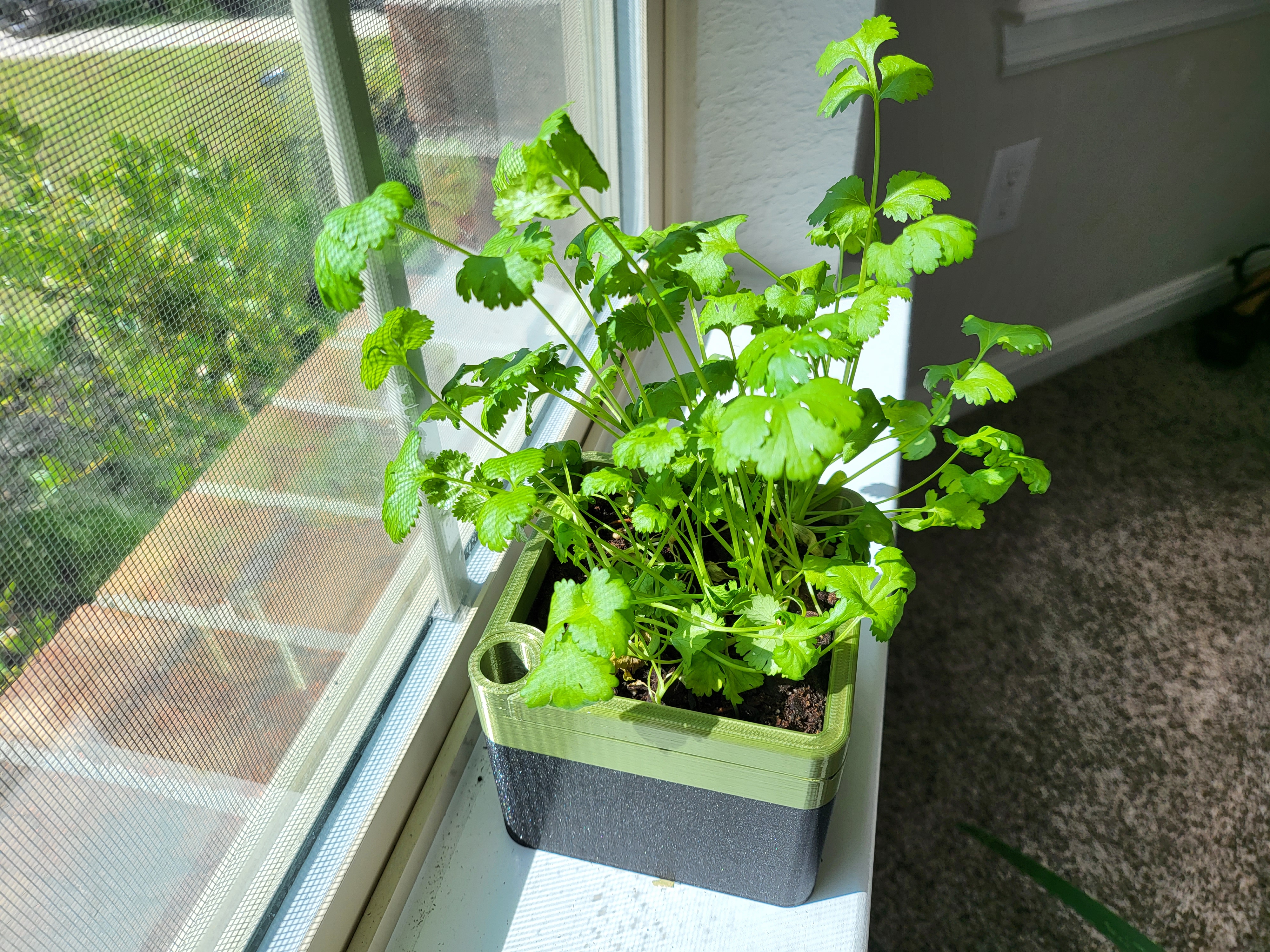 Herb Garden Planter - photo 2