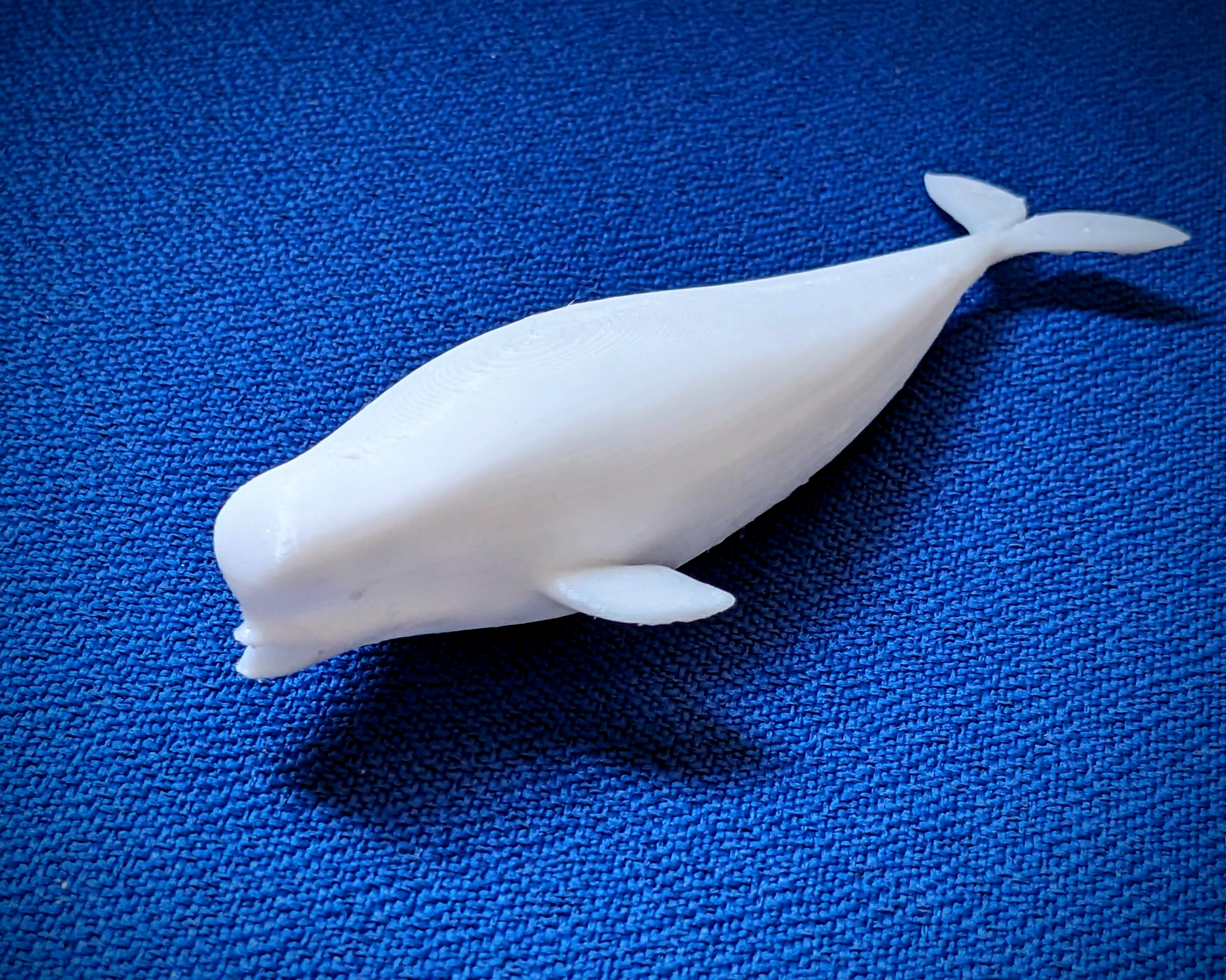 Beluga bathtub toy - photo 2