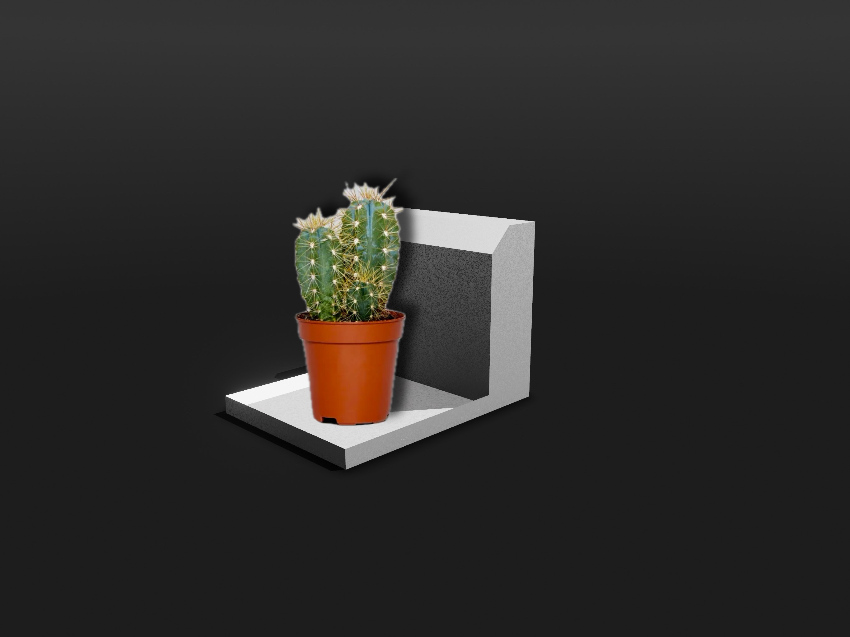 Small Wall Shelf | Super Cool! - photo 3