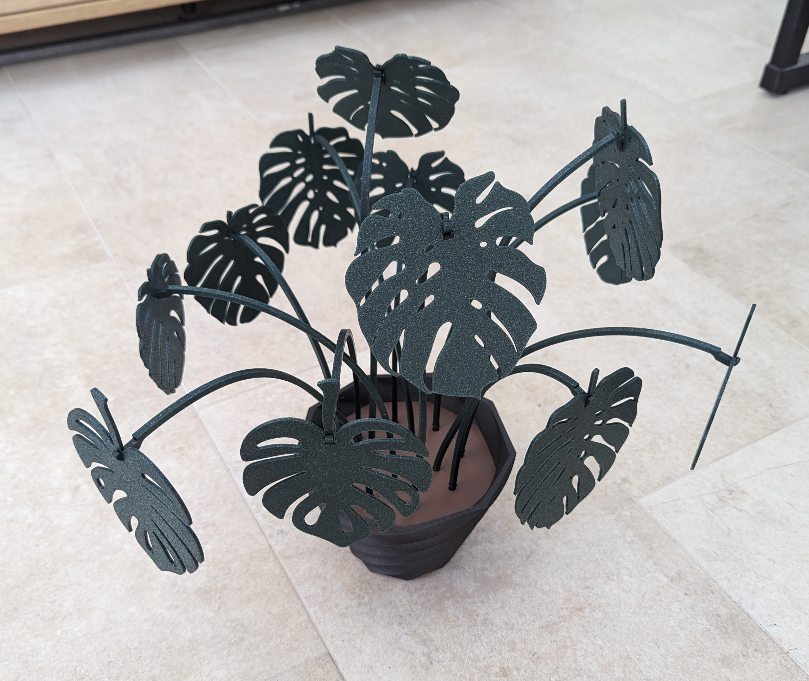 Monstera Coaster Set - Taller Stems