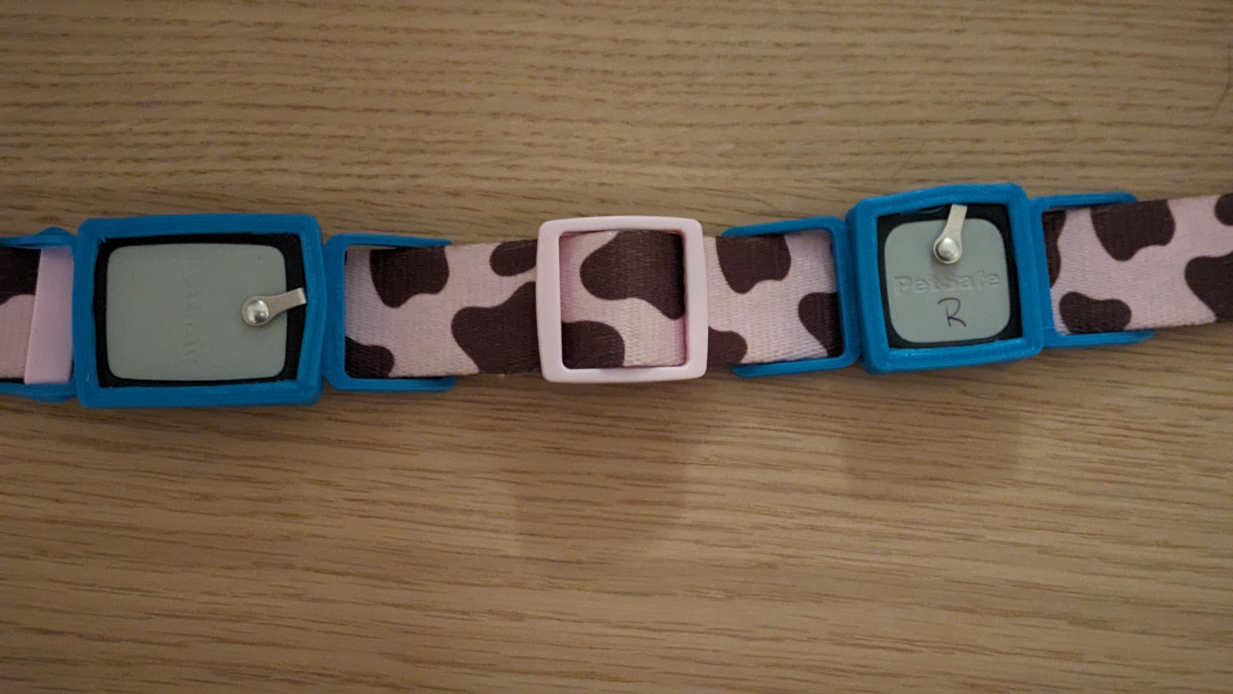 PetSafe Smart Door Connected Tag Holders - photo 2