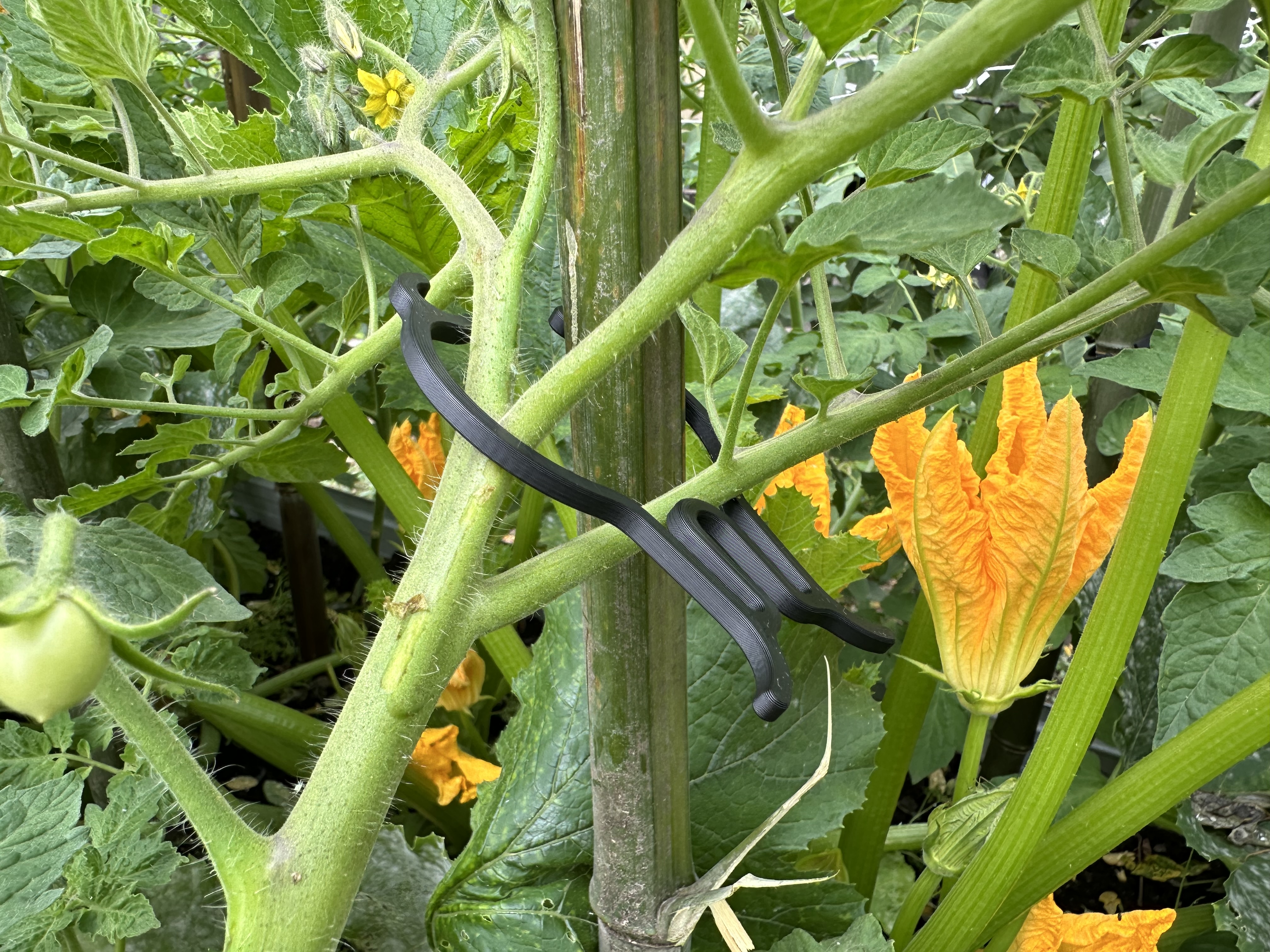 Supersized plant clip - photo 2