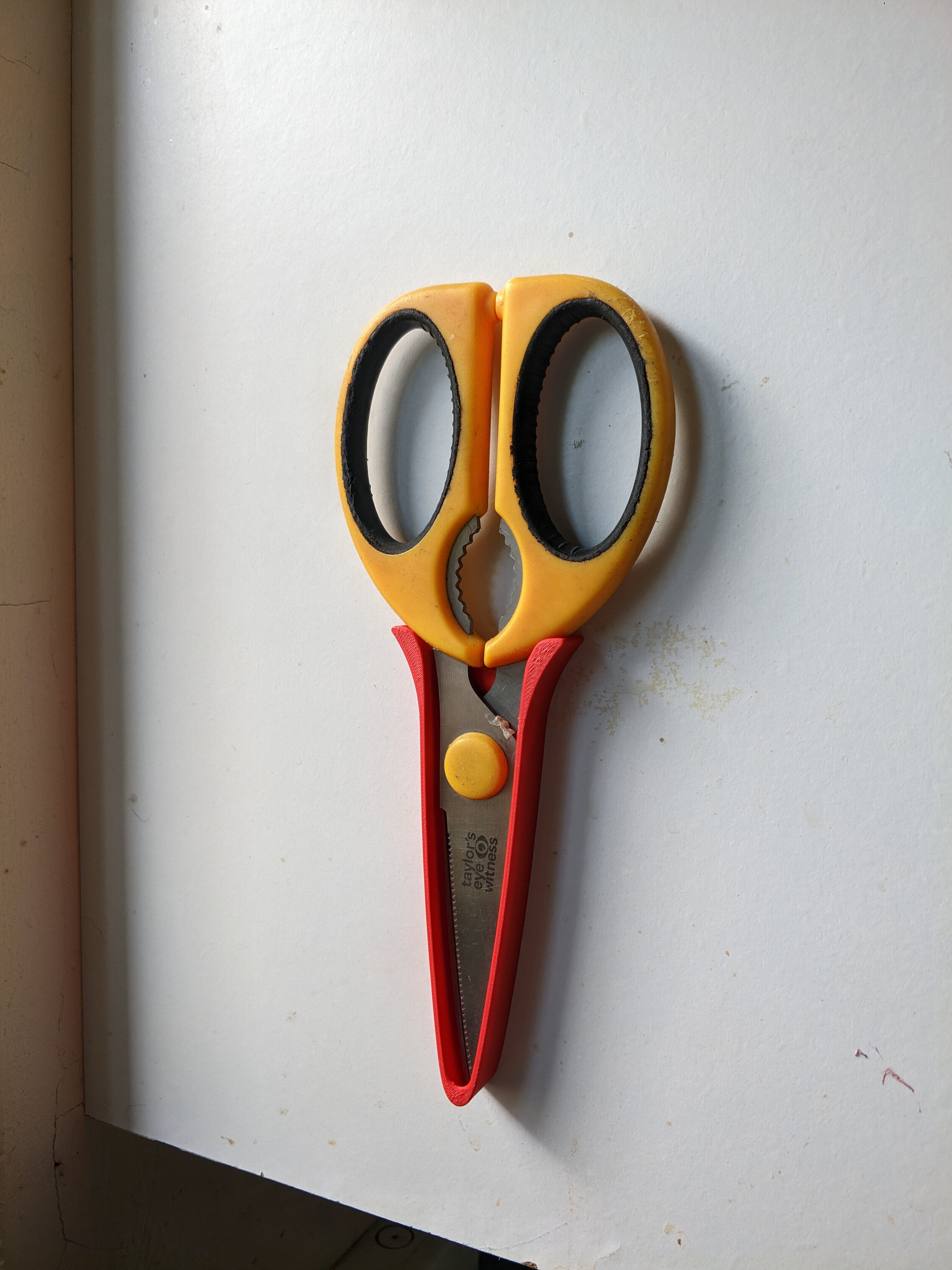 Kitchen Scissor Holder (Taylors Eye Witness)