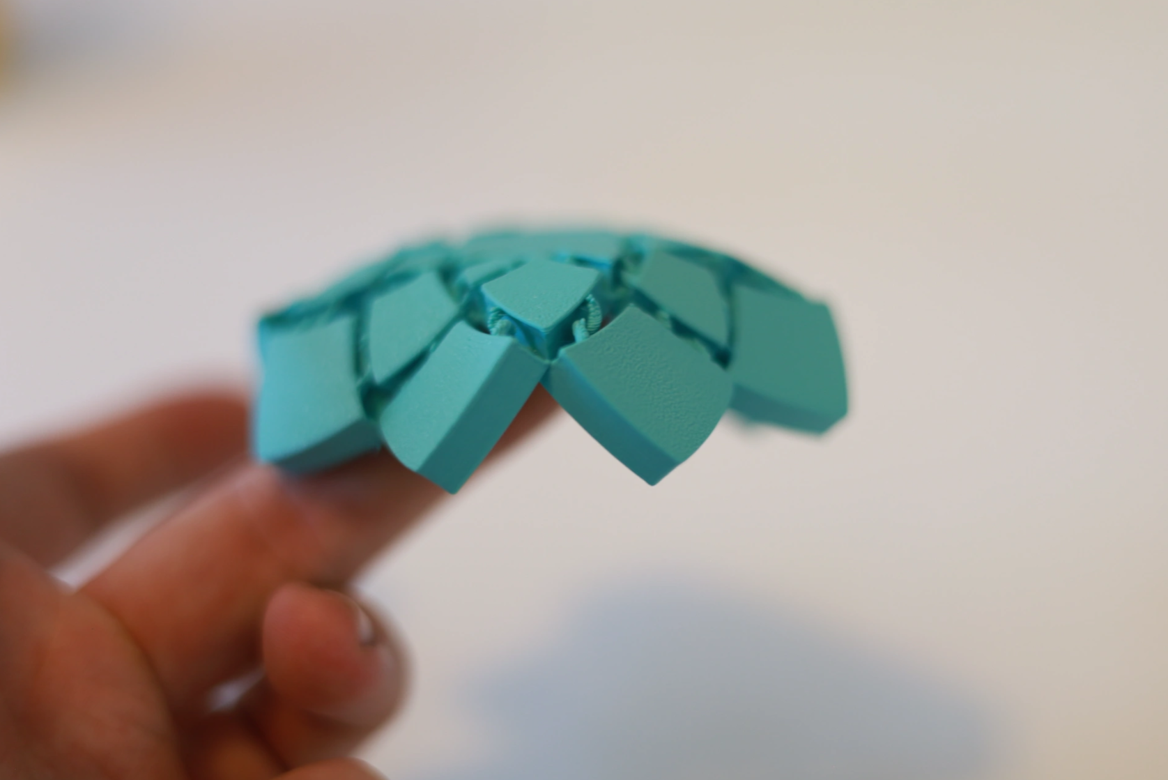 ARTICULATING FLOWER COASTER! - photo 3