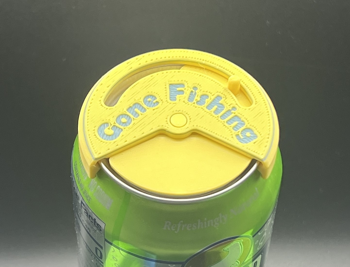 Beer Can Lid/Soda Can Lid/Bug Cover (no supports needed) - photo 2