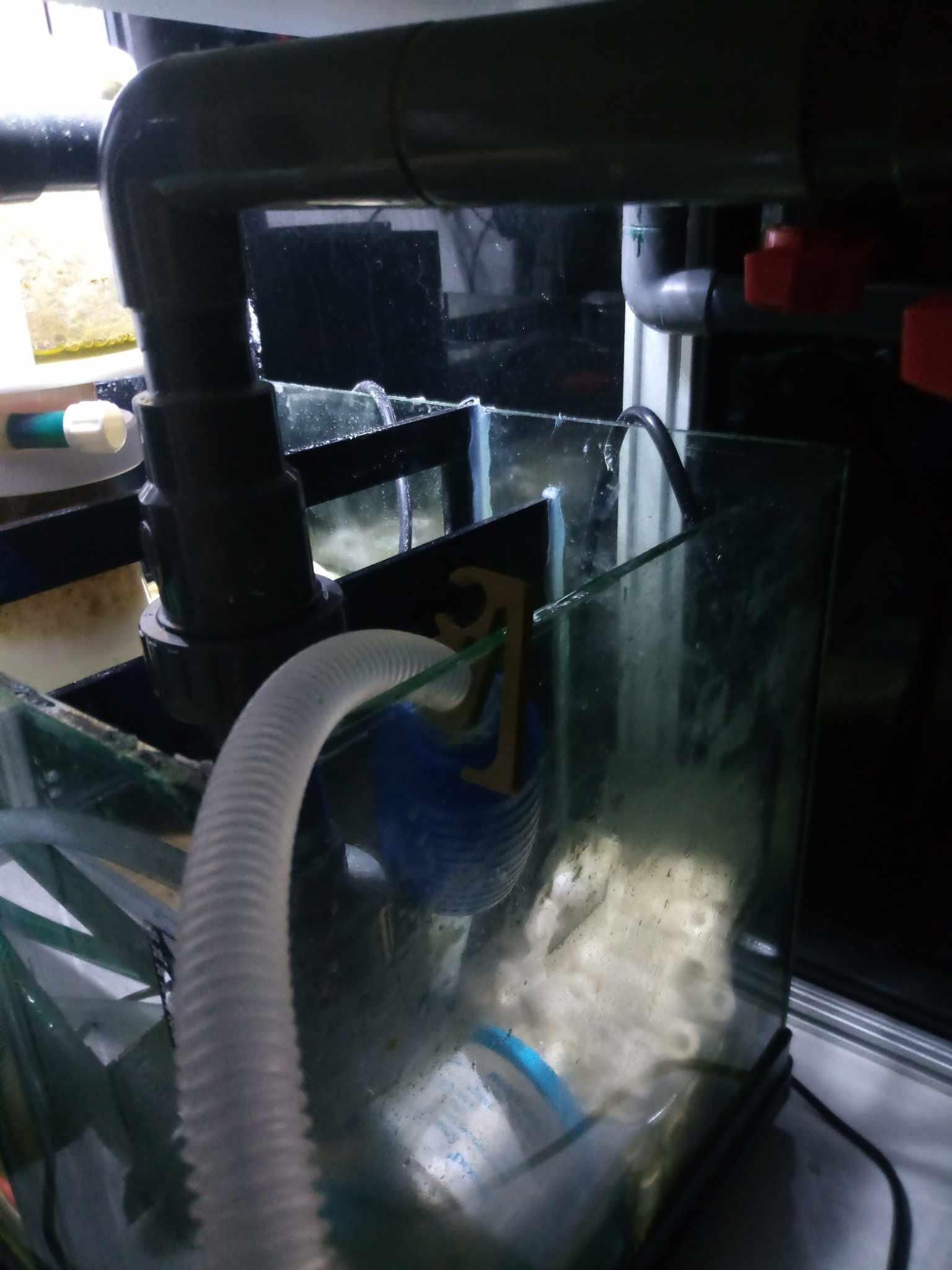 Aquarium tank hose clamp, hose clip, bucket hose clamp - no more flyig hoses with water everywhere! - photo 2