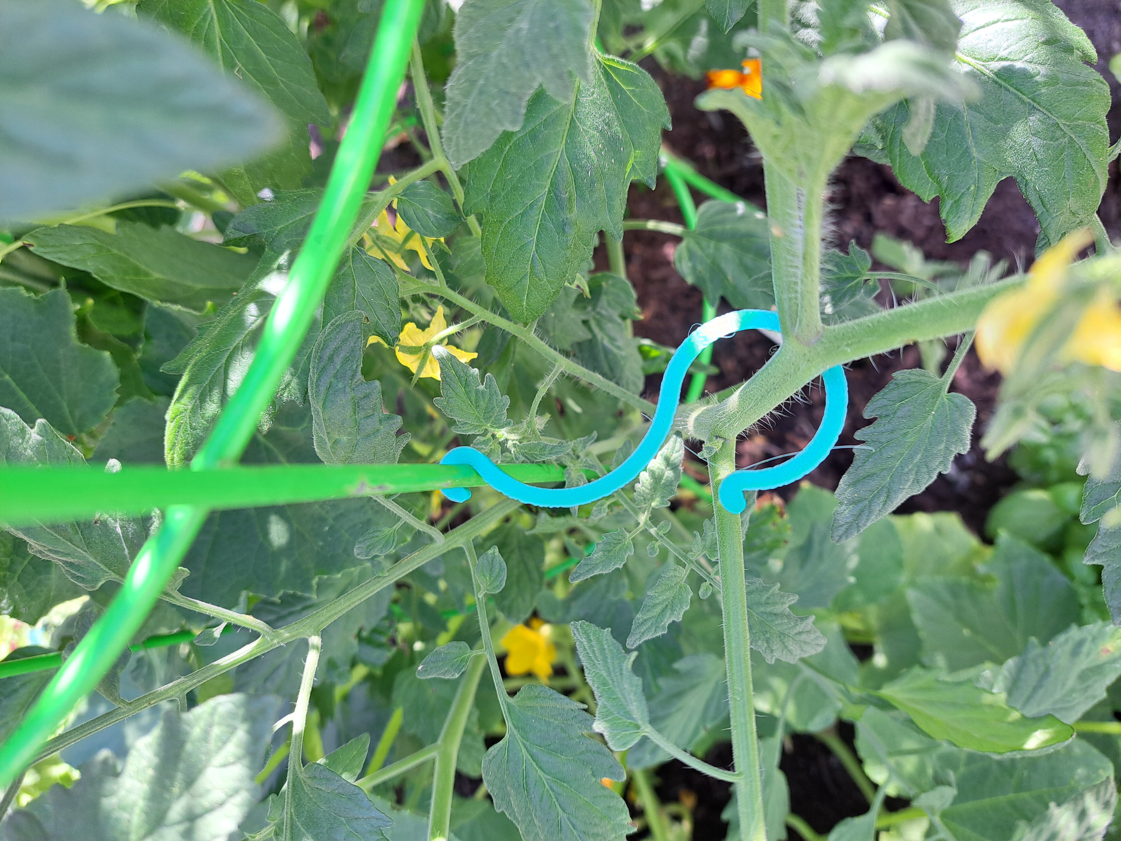 Yet Another Plant Clip - photo 3