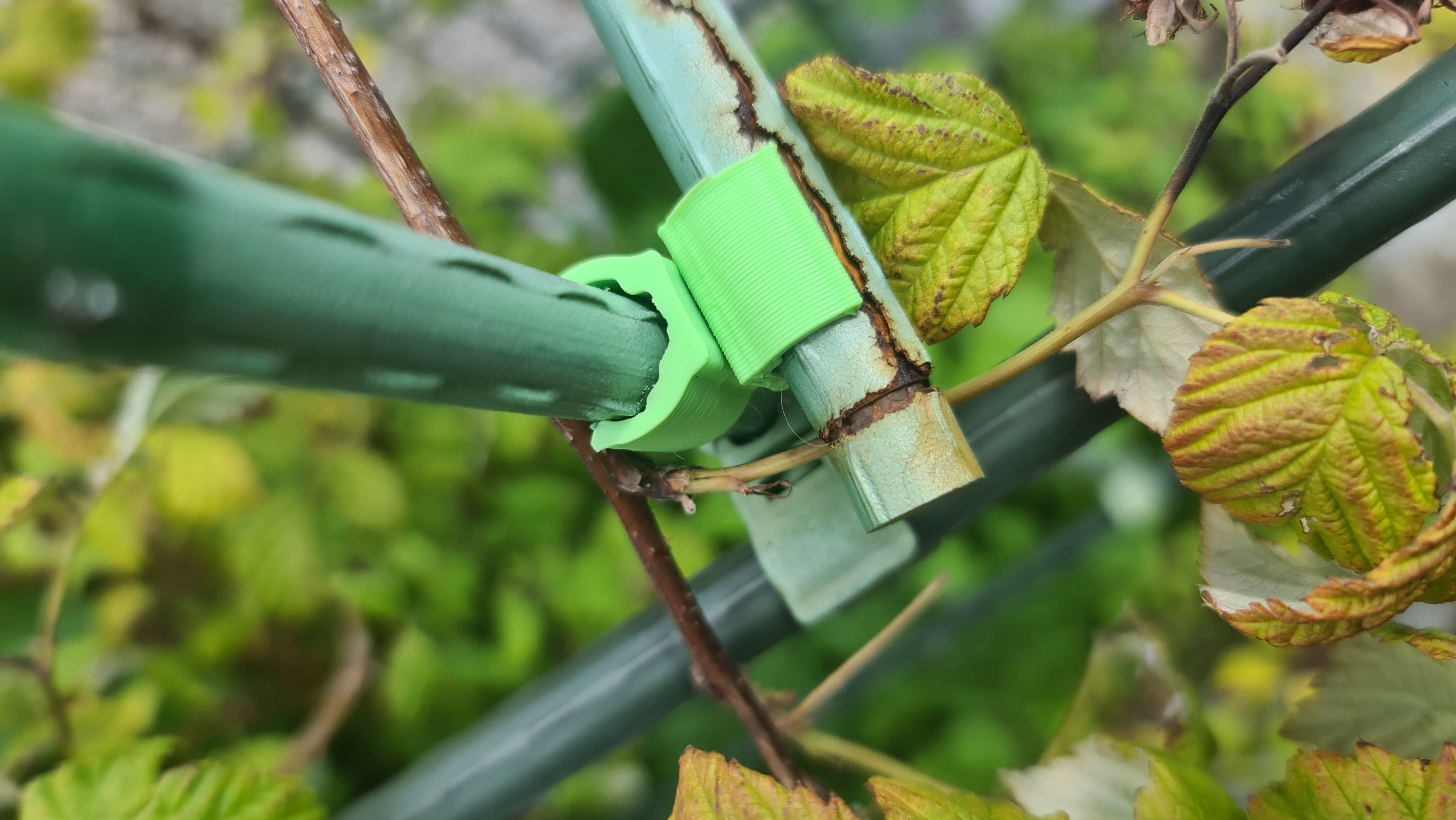 Garden Clip for framing (trellis)