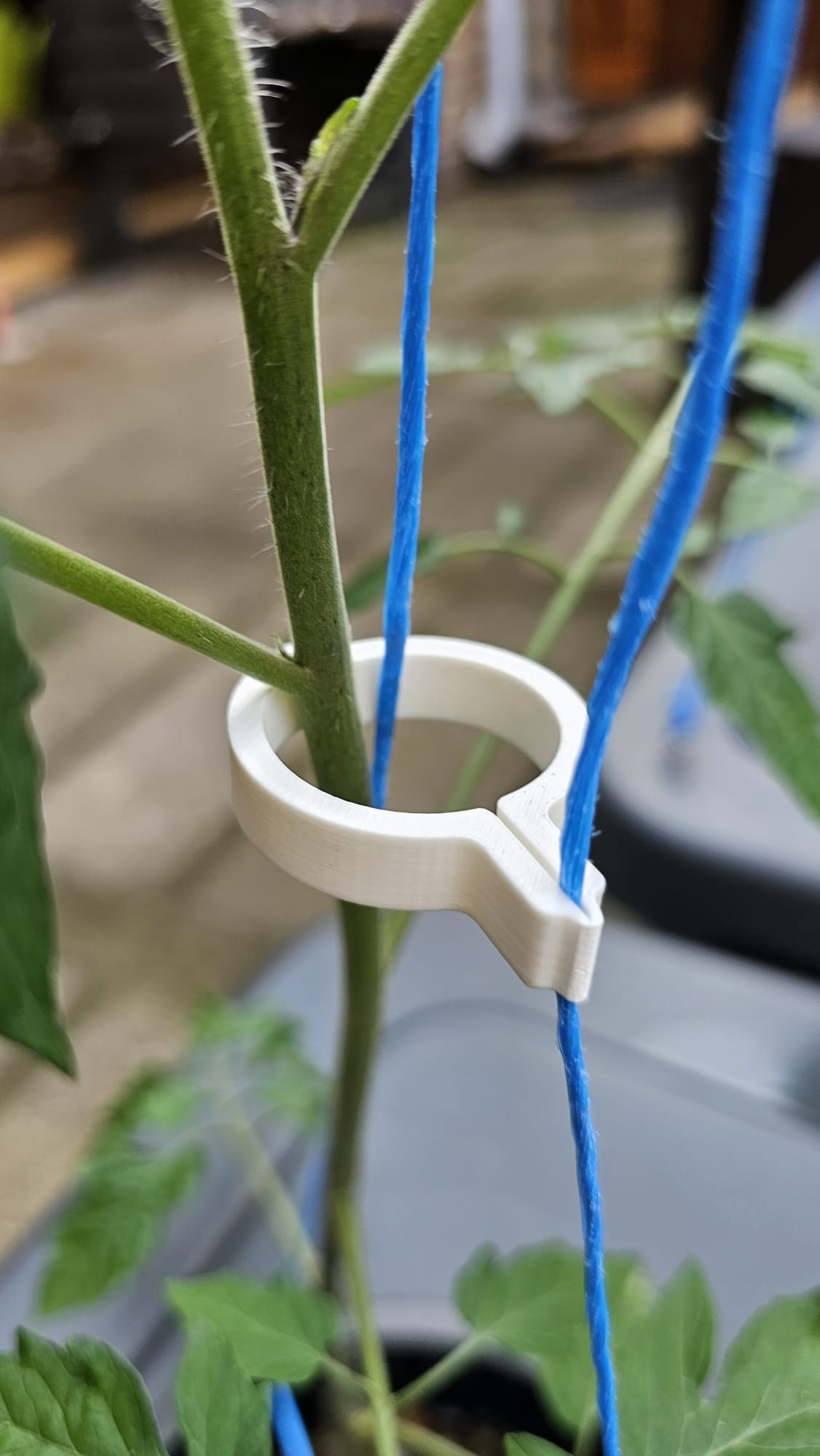 Tomato Clip v3 - photo 2