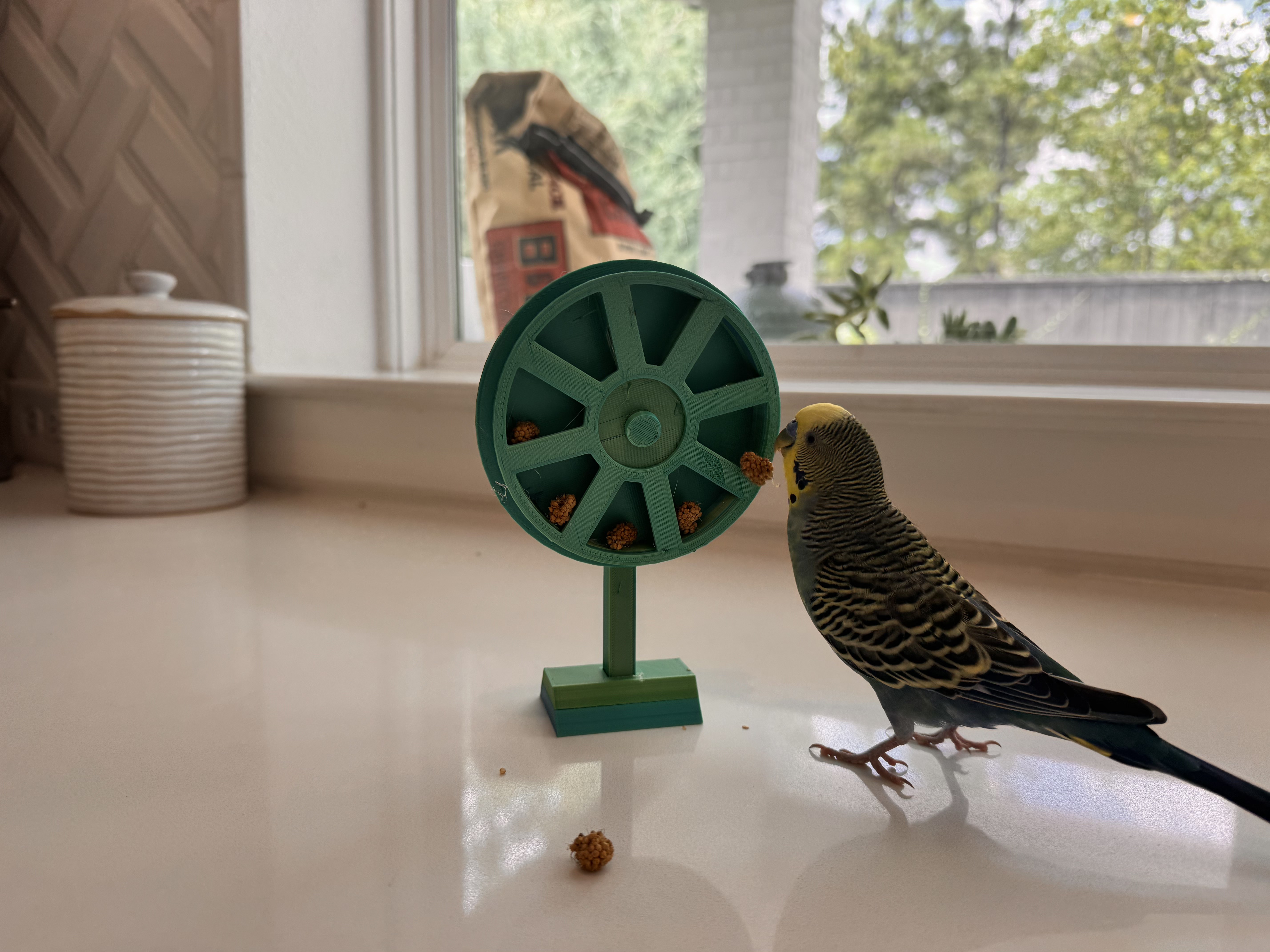 bird toy spinning treat wheel/play and enrichment