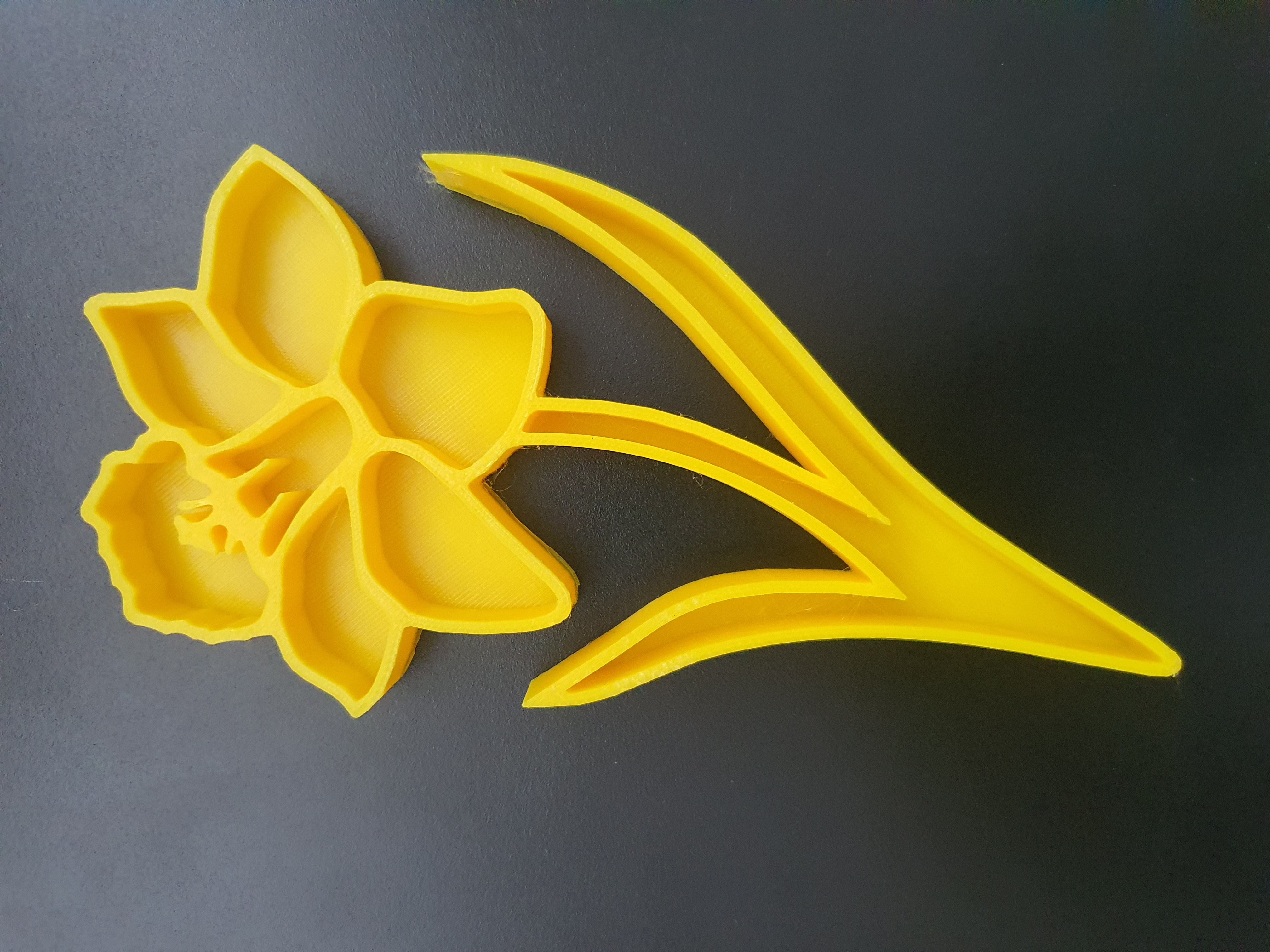 Narcissus sensory tray - photo 2