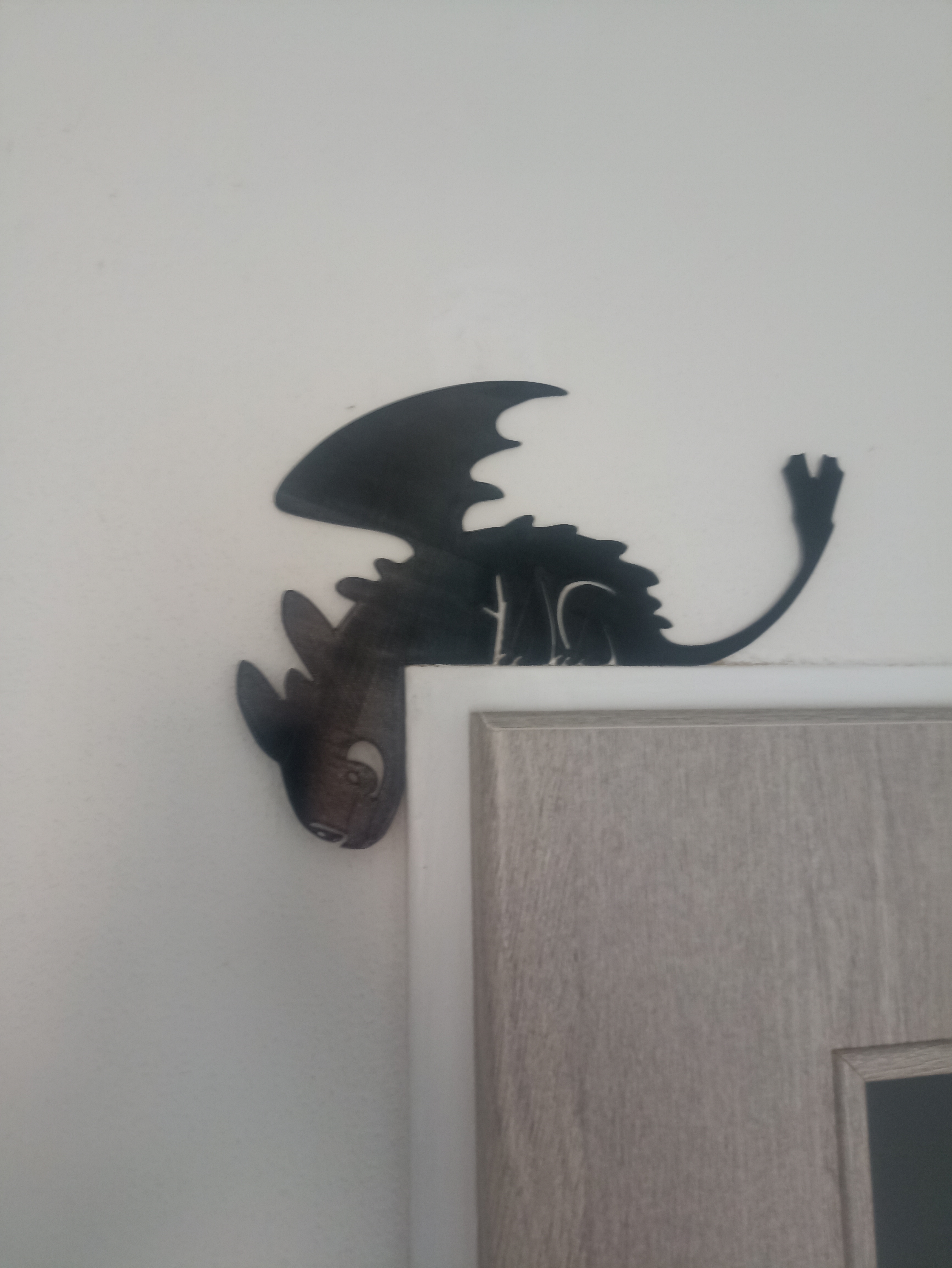 Night Fury Toothless door decor - photo 2