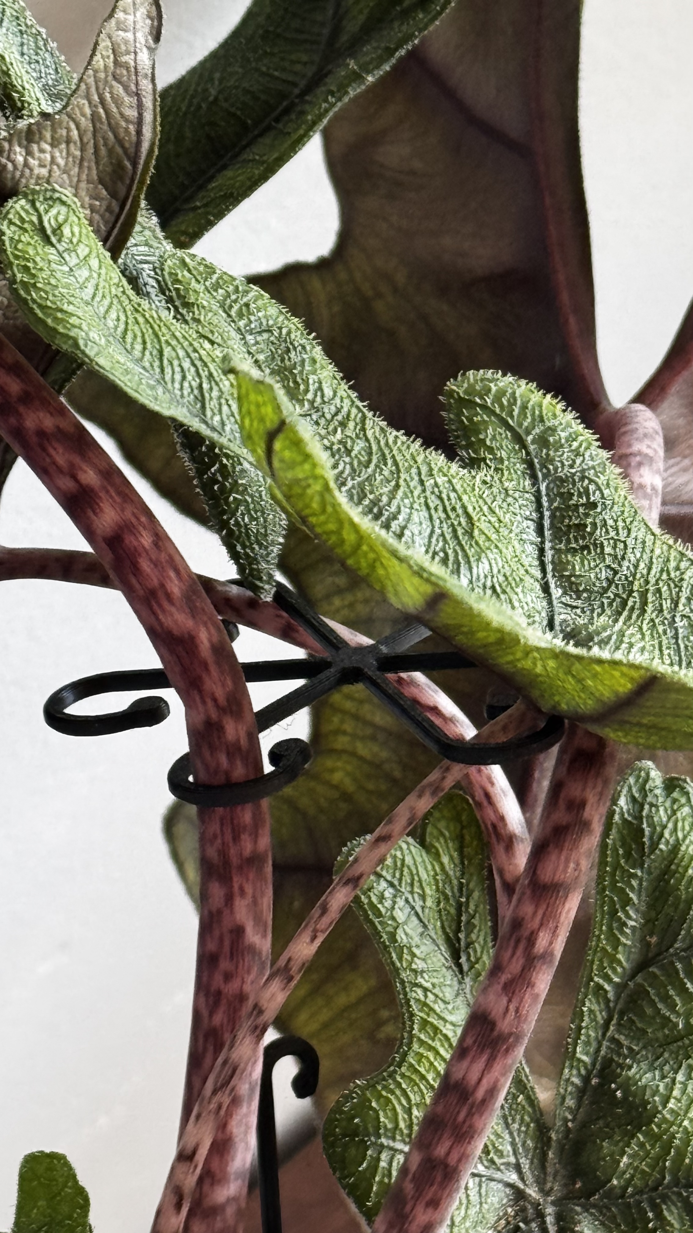 Octopus Plant Clip - photo 3