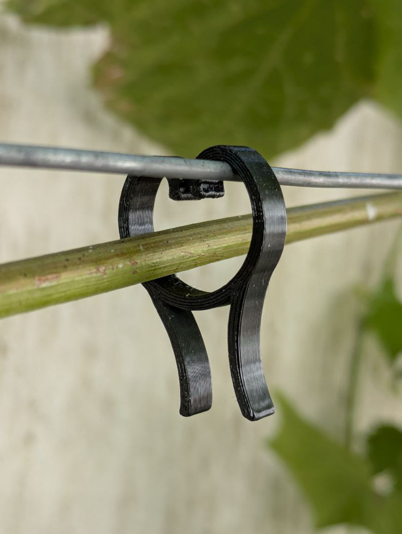 Plant clip